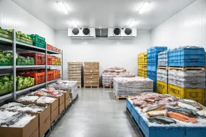 Ruangan Cold Storage