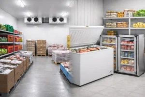 Cold Storage dan Freezer